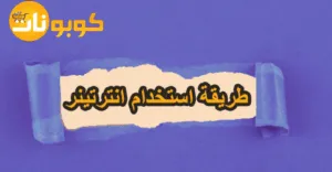 طريقة استخدام انترتينر