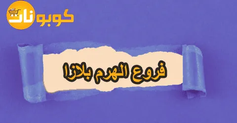 فروع الهرم بلازا