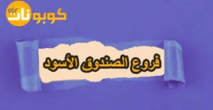 فروع الصندوق الأسود