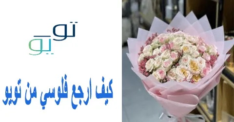 كيف ارجع فلوسي من تويو