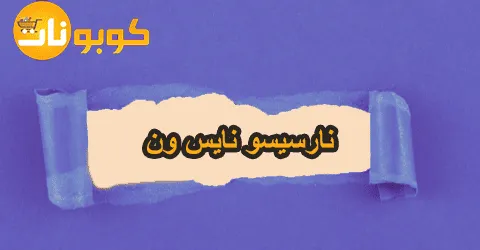 نارسيسو نايس ون