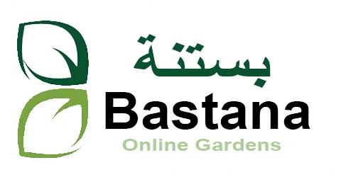 كود-خصم-بستنة-2025-أفضل-كوبون-35-لموقع-bastana-store