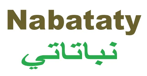 nabataty-store